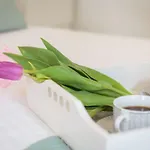 Centerlink Apartman