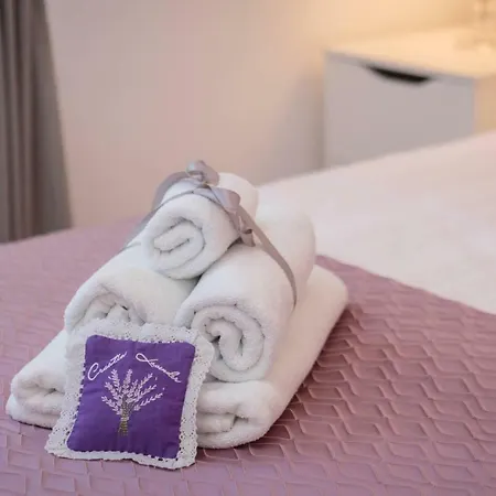 Centerlink Apartamento Split