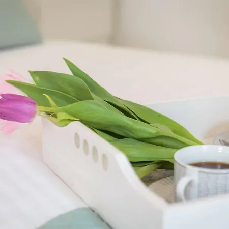 Centerlink Apartamento